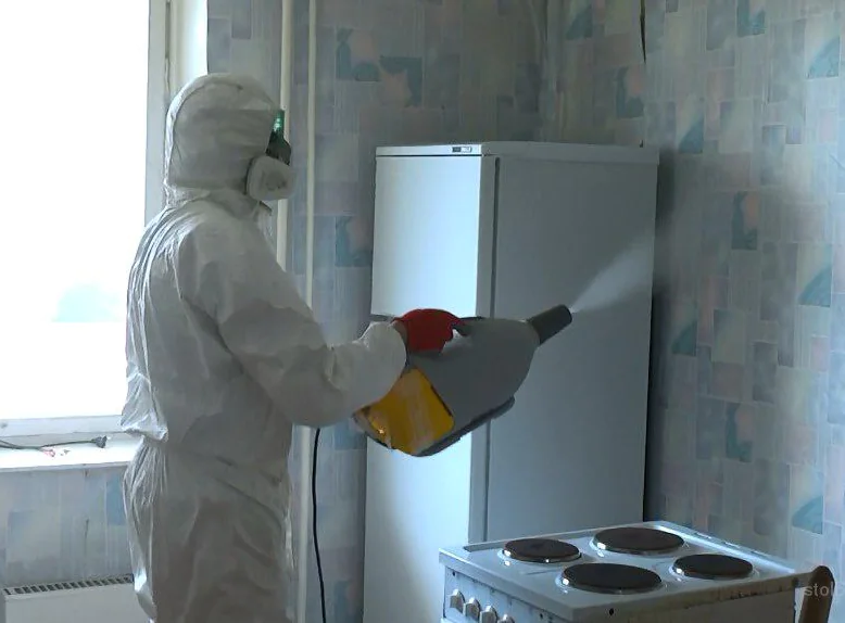 обработка от тараканов кухни туманом обработка от тараканов кухни туманом